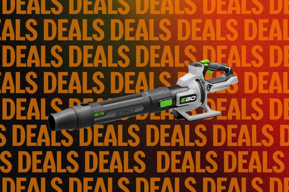 Leaf blower power 880 cfm sale 102026 top art source lowes